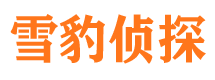 宁国市调查公司